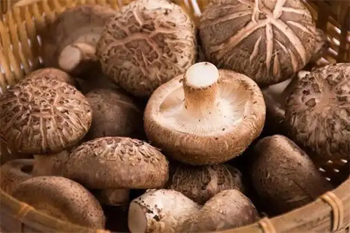 图片细节说明